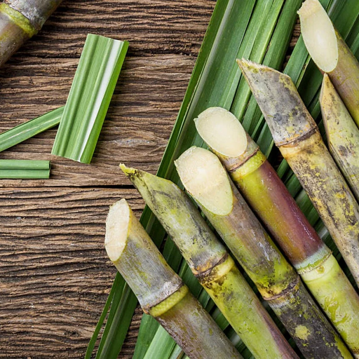 sugarcane-5388614_1280